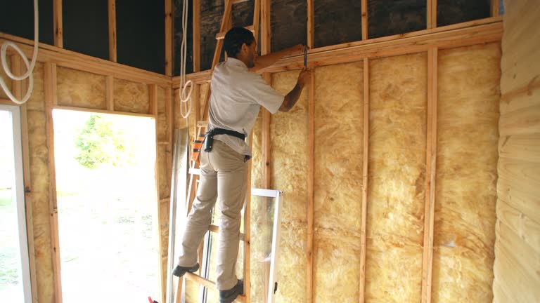 Best Basement Insulation  in Algonquin, IL